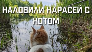 Наловили карасей с котом
