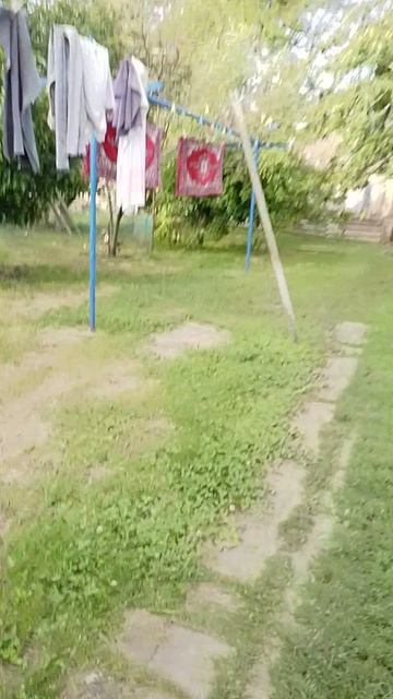 новые утята в своëм доме