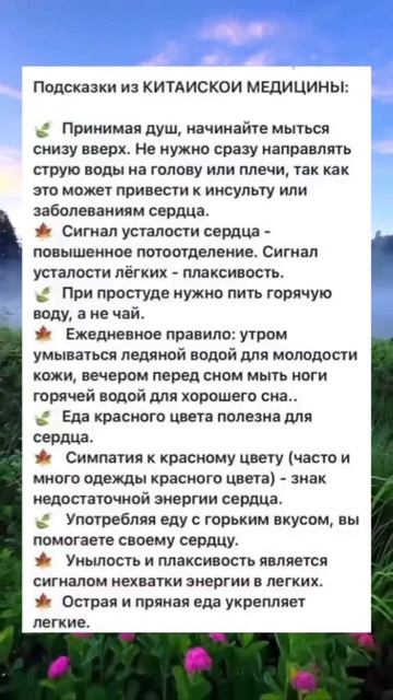 Подсказки Китайской медицины 🤗⏳🫀