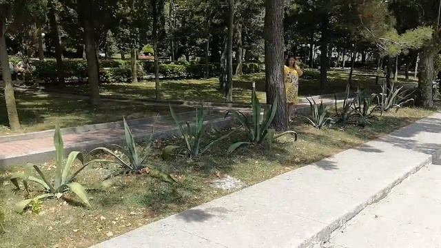 Ольгинка Туапсе. Обзор ЛОК Орбита. ЛОКу не хватает Лоска. Отличное место для отдыха, но...
