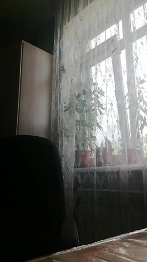 Красотка