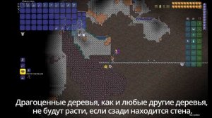 Лучший фарм золотых монет