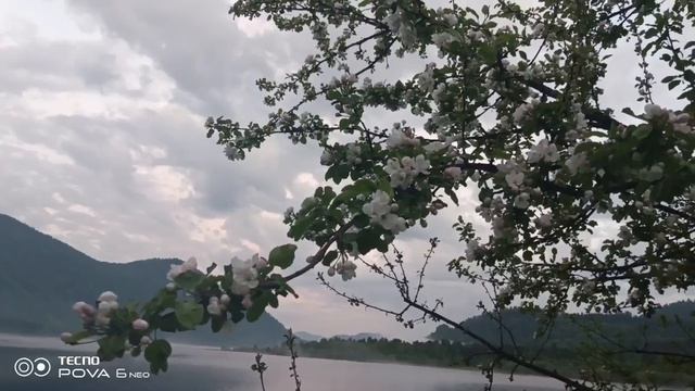 Песни Золотого озера
