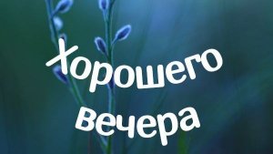 Вечернее видео.
