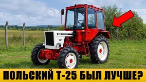Почему поляки ОБОЖАЛИ советский Т-25?