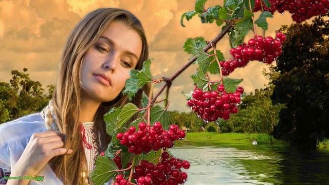 А на калине распустились венки смотреть онлайн