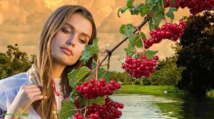 А на калине распустились венки