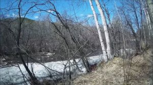 Поход по майской Никишихе.