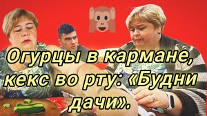 04-06-20«Как Уралочка кекс делила (и не делила)🍰»