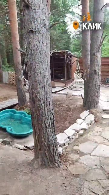 Команда МЕСТО.