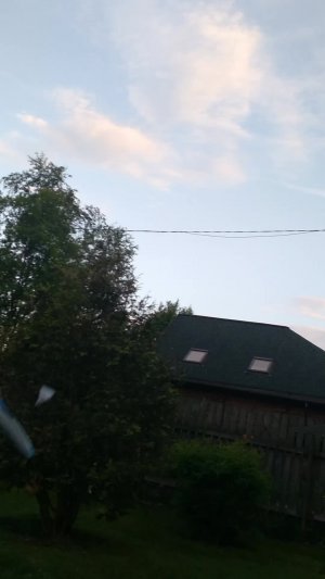 бамбинтон