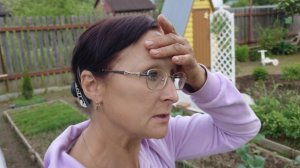 Видео привет с 6 соток 3 июня 2026 года.