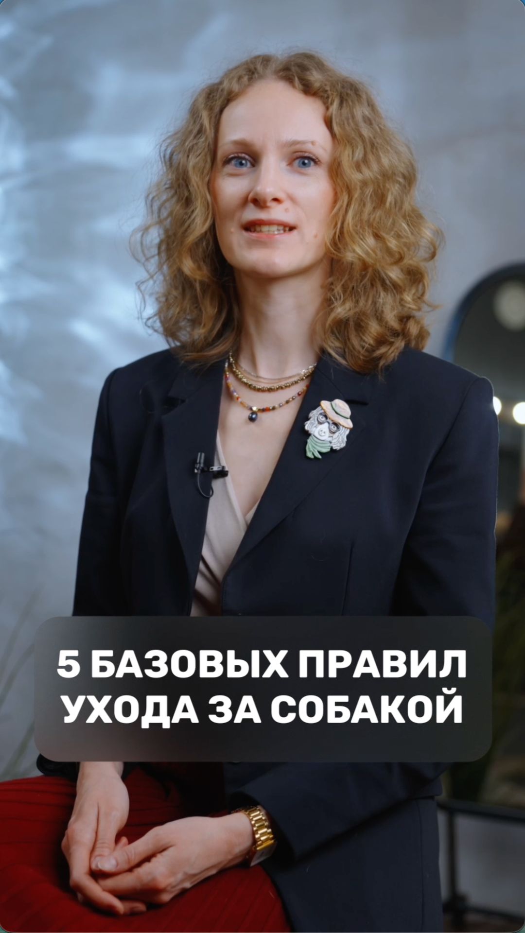 5 базовых правил ухода за собакой