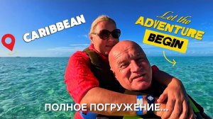 Когда навеяло и ждёшь следующего...