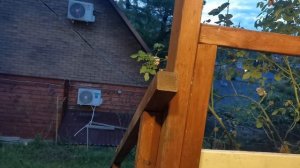 СОЧИ ГОРНОЕ ЛОО УТРО 04.07.2026