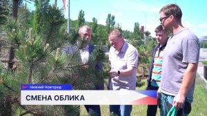 Более 450 деревьев и почти 400 кустарников планируется высадить в этом году в Нижнем Новгороде