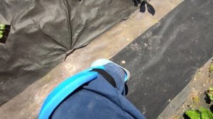 Для садоводов и огородников!