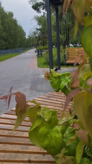 04-06-2026 Привет! Пошли погуляем.