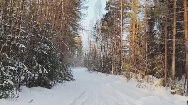 ОХОТА НА БОБРА, ЗИМНЯЯ смотреть онлайн