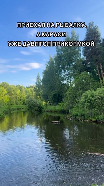 Очень вкусная и рабочая прикормка на КАРАСЯ