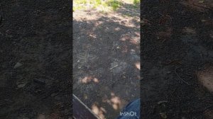 Представители поту стороннего мира всегда рядом со мной..