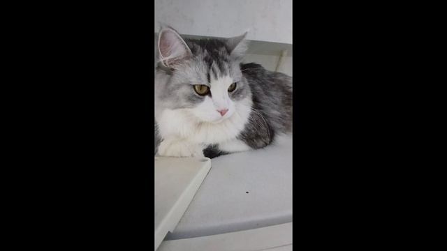 Немного о нашем канале. смотреть онлайн