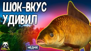 Эта рыба в РР4 с Медного РЕАЛЬНО ДРУГАЯ! Вкус, который меня шокировал #рр4
