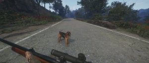 БРОКОНЬЕРСКАЯ БЕШЕННАЯ ОХОТА КТО ДОСМОТРЕЛ ДО КОНЦА УВИДИТ ИНТЕРЕСНОЕtheHunter Call of the Wild_2026