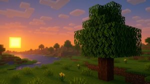 играю в майнкрафт 1.16.5