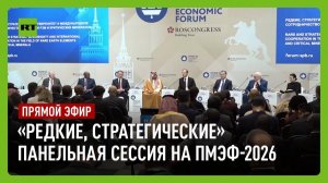 Панельная сессия по теме международного сотрудничества по редким металлам