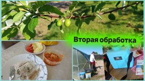✅Жизнь без фильтра ✅Вторая обработка картофеля Лазуритом.Минтай в сливочном соусе (су-вид).