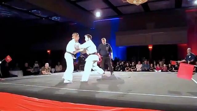 Киокушинкай каратэ