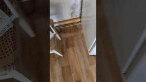 1000000371.mp4