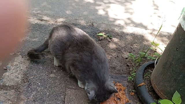 1000007161.mp4 смотреть онлайн
