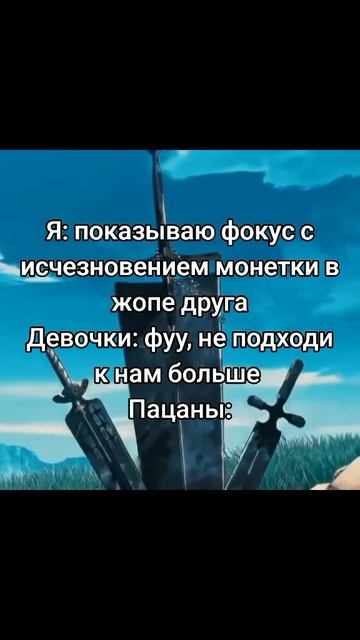 AniMem