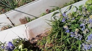 Сад 4 июня / какие новости / стоит жара