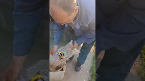 Интервью у Виктора (Потапа) о фирменной прикормке на карпа