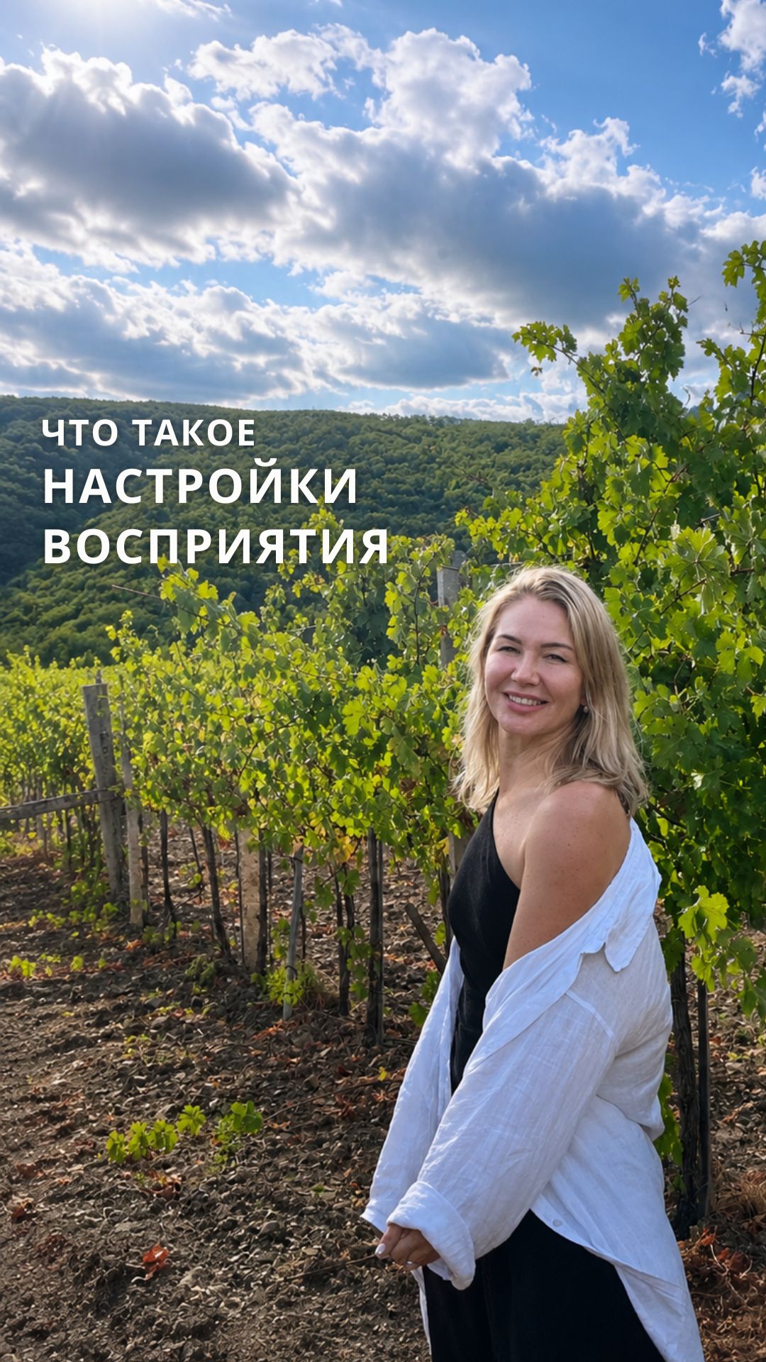 ЧТО ТАКОЕ НАСТРОЙКИ ВОСПРИЯТИЯ