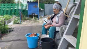 Убираю прошлогодний морковь. Ягоды скоро поспеют
