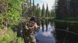 ЗАБРАЛСЯ В ГЛУШЬ ТАЁЖНОЙ РЕКИ И ЛОВЛЮ РЫБУ. КРОМЕ МЕНЯ ТУТ НИКТО НЕ РЫБАЧИТ.