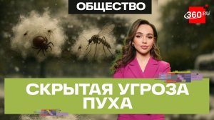 Вместе с пухом могут распространяться опасные клещи, комары и другие опасные насекомые