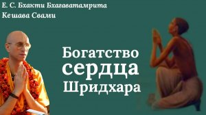 Богатство сердца Шридхара / ББ Кешава Свами