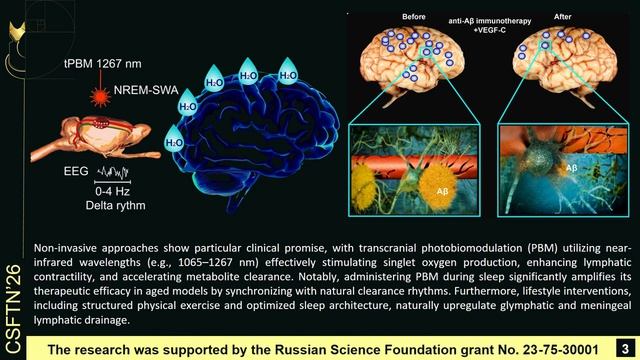 Targeting Meningeal Lymphatic Vessels: Novel Strategies for Enhancing Brain Clearance in ...