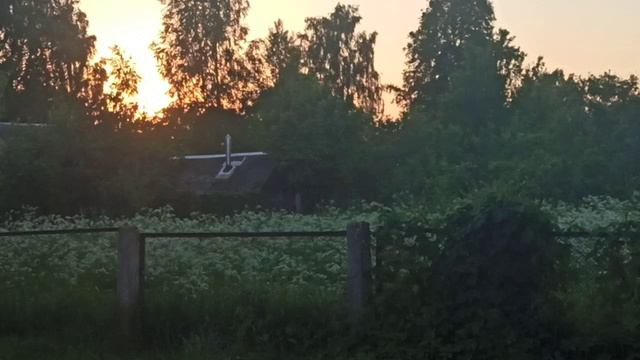 Влёсно ТВ. Вечор 04.06.26.mp4