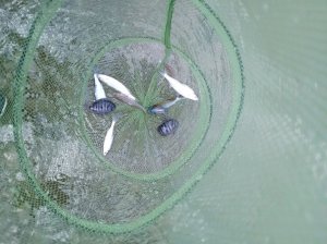 рыбачим вместе с Марком