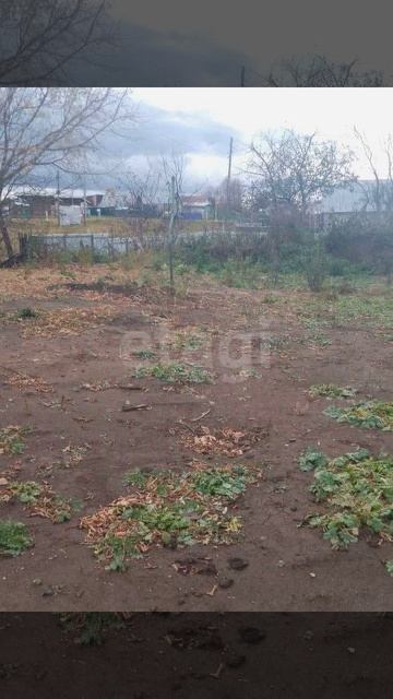 7351880 смотреть онлайн