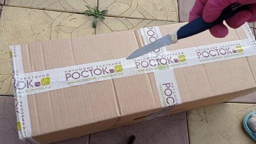 #распаковка САЖЕНЦЫ ИЗ ПИТОМНИКА РАСТЕНИЙ РОСТОК !#саженцы #ростокпитомник #саженцыроз #саженцывиног
