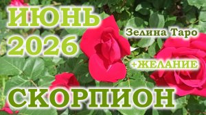 СКОРПИОН | ТАРО прогноз на ИЮНЬ 2026 года | Желание | Расклад таро