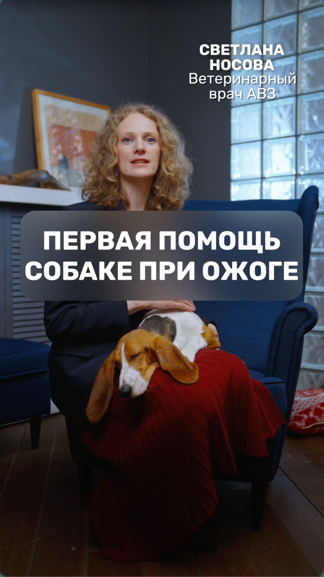 Первая помощь собаке при ожоге