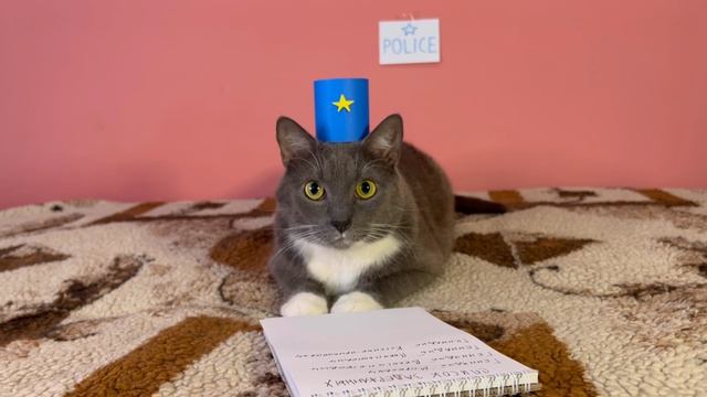 ЛЕТО В ШКОЛЕ КОТИКОВ смотреть онлайн